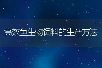 高效鱼生物饲料的生产方法