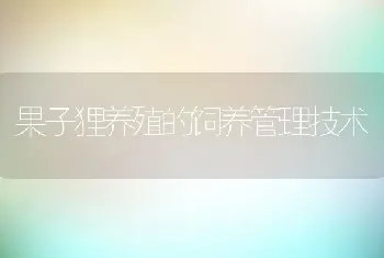 果子狸养殖的饲养管理技术