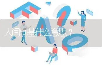 人间柯基什么意思？