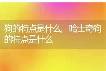 狗的特点是什么，哈士奇狗的特点是什么