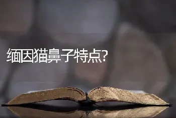 两个月的雪纳瑞一次吃多少狗粮？