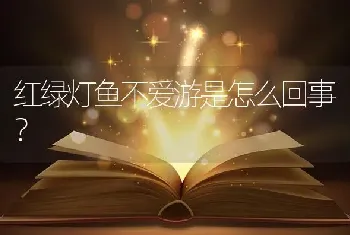 红绿灯鱼不爱游是怎么回事？