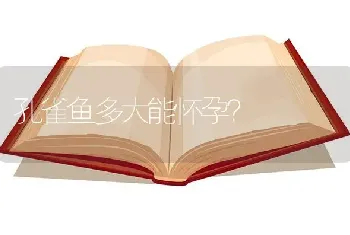 孔雀鱼多大能怀孕？