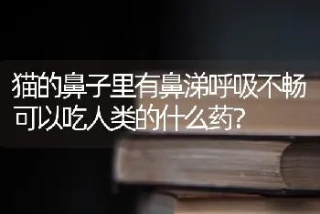 猫的鼻子里有鼻涕呼吸不畅可以吃人类的什么药？