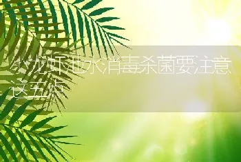 小龙虾池水消毒杀菌要注意这五点