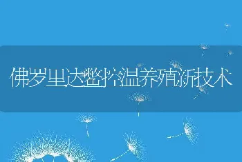 佛罗里达鳖控温养殖新技术