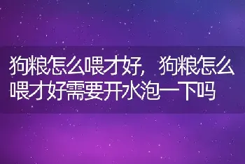 狗粮怎么喂才好，狗粮怎么喂才好需要开水泡一下吗