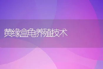 黄缘盒龟养殖技术