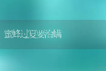 蜜蜂过夏要治螨