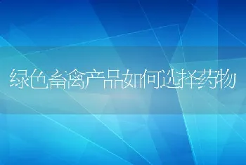 绿色畜禽产品如何选择药物