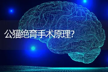 狗狗死之前对你摇尾巴是什么意思？