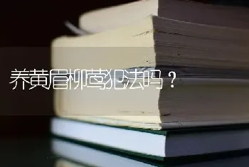 养黄眉柳莺犯法吗？