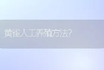 黄雀人工养殖方法？