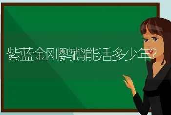 紫蓝金刚鹦鹉能活多少年？