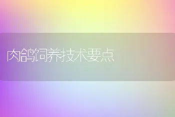 浙江绍兴县陶堰镇水产养殖户创新稻虾轮作模式