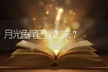 月光鱼尾巴缩起来？