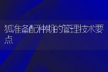 狐准备配种期的管理技术要点