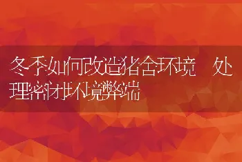 冬季如何改造猪舍环境处理密闭环境弊端