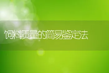 天气转冷后乌龟养殖的管理技术要点