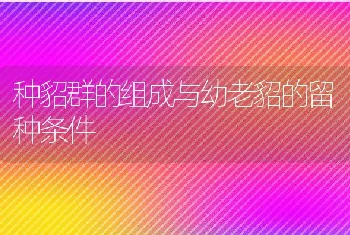 种貂群的组成与幼老貂的留种条件