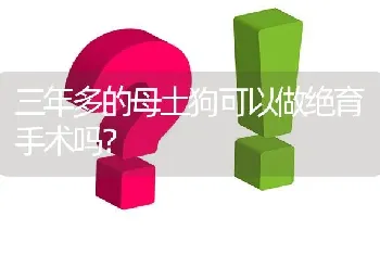 三年多的母土狗可以做绝育手术吗？