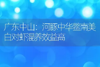 广东中山：河豚中华鳖南美白对虾混养效益高