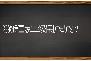 猕猴国家二级保护动物？