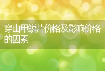 穿山甲鳞片价格及影响价格的因素