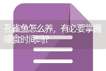 孔雀鱼怎么养，有必要掌握喂食时间吗？