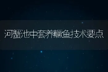 河蟹池中套养鳜鱼技术要点