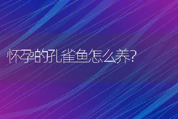 观赏鱼沉底怎么办？