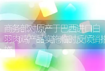 商务部对原产于巴西进口白羽肉鸡产品实施临时反倾销措施