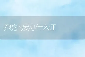 养鸵鸟要办什么证