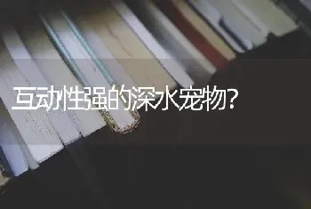 互动性强的深水宠物？