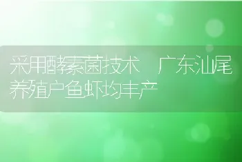 采用酵素菌技术广东汕尾养殖户鱼虾均丰产