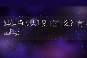 娃娃鱼咬人吗?吃什么？有毒吗?