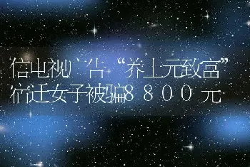 信电视广告“养土元致富”宿迁女子被骗8800元