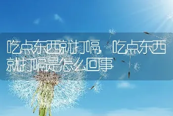 吃点东西就打嗝，吃点东西就打嗝是怎么回事