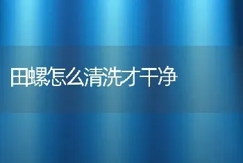 田螺怎么清洗才干净