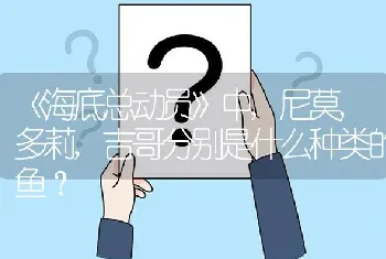 《海底总动员》中,尼莫,多莉,吉哥分别是什么种类的鱼？