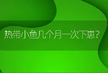 热带小鱼几个月一次下崽？