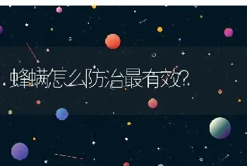 蜂螨怎么防治最有效？