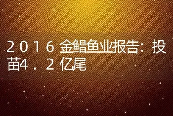 2016金鲳鱼业报告：投苗4.2亿尾