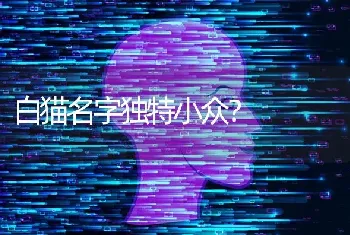 白猫名字独特小众？