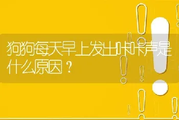 狗狗每天早上发出咔咔声是什么原因？