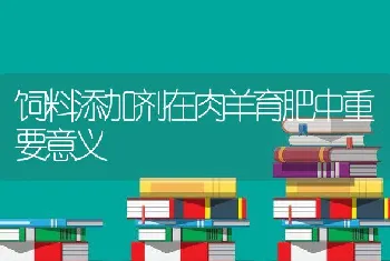 饲料添加剂在肉羊育肥中重要意义