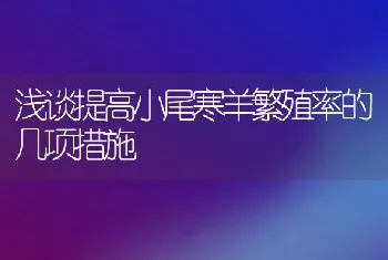 浅谈提高小尾寒羊繁殖率的几项措施