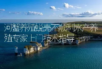 河蟹养殖蜕壳不顺利水产养殖专家上门技术指导