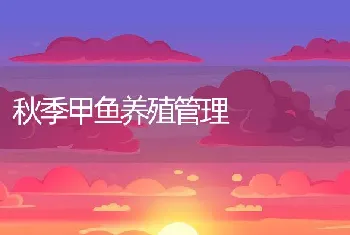 秋季甲鱼养殖管理