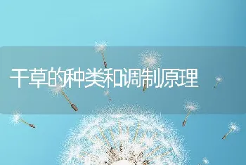 罗非鱼苗种寄生虫防治一例